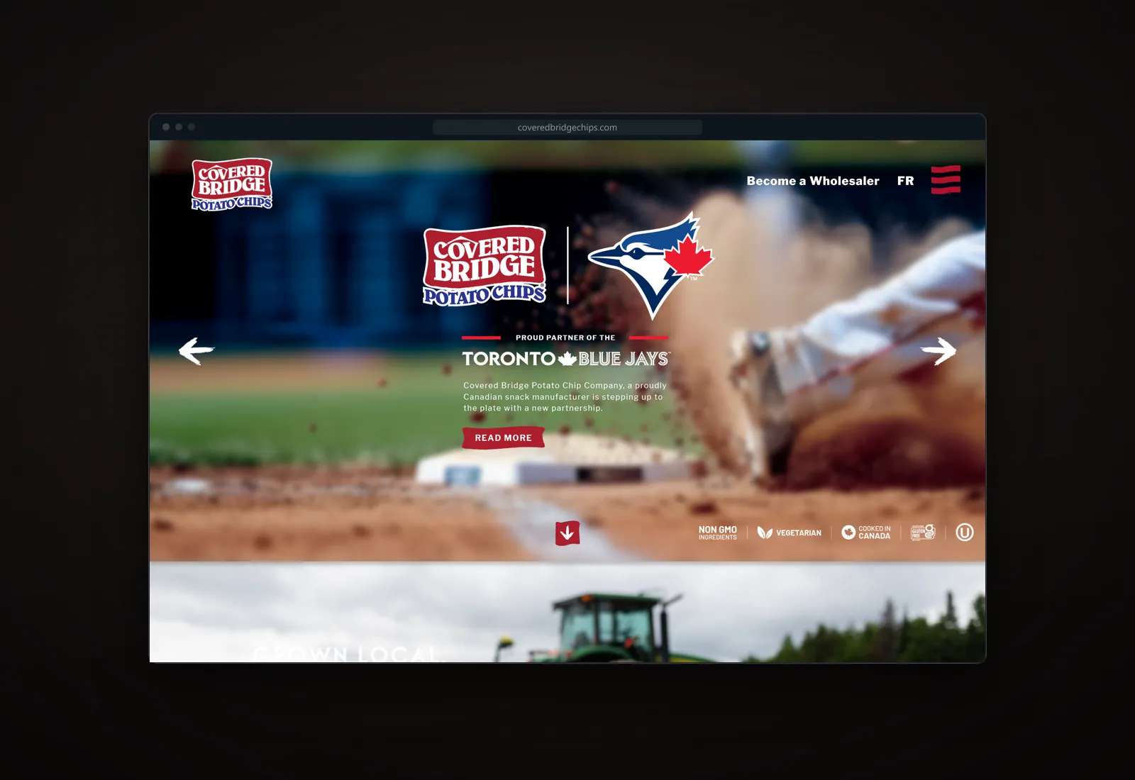 Screenshot of the Covered Bridge website